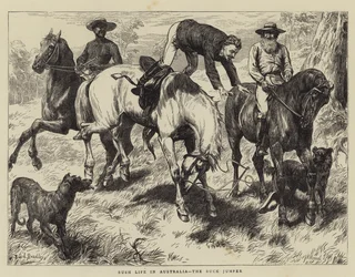 Bush Life i Australien, Buck Jumper